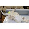 Image 1 : STEER SKULL