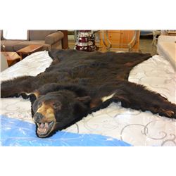 BEAR RUG