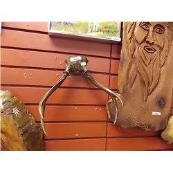 UNIQUE CHAINSAW CARVING - WALL MOUNT TREE SPIRIT - 40" TALL  X 13.5 X 1"