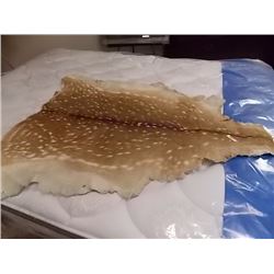 AUTHENTIC DEER PELT 48"x36"