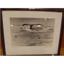 FRAME PICTURE - WHALE TALE - 21" X 18"