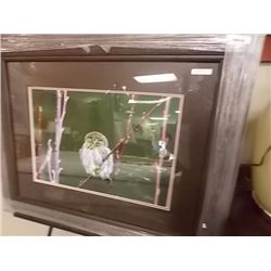 FRAMED PRINT - OWL - KEITH FOCANK - ESTIMATED GALLERY PRICE $525