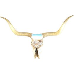Large long horn skull purportedly from John