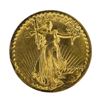 Image 1 : 1907 $20 High Relief St. Gaudens Double Eagle Gold Coin Flat Rim