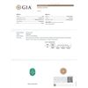 Image 6 : GIA Cert 9.80 ctw Emerald and Diamond Ring - 14KT White Gold