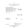 Image 3 : 0.90 ctw Diamond Stud Earrings - 14KT White Gold