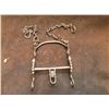 Image 8 : Marked F.M. Stern 000, Silver Inlaid Bit –Carmel Cheek, Half breed Mouth –Slobber Bar, Reins Chains