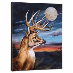 White Tail Moon Limited Edition Giclee on Gallery Wrapped Canvas by Martin Katon, Numbered and Hand 