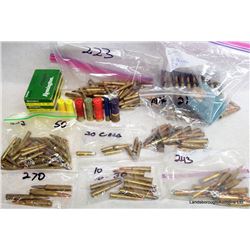 255 RNDS RIFLE AND SHOTGUN AMMO