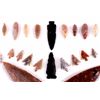 Image 5 : Northern Plains Indian Arrowhead Collection