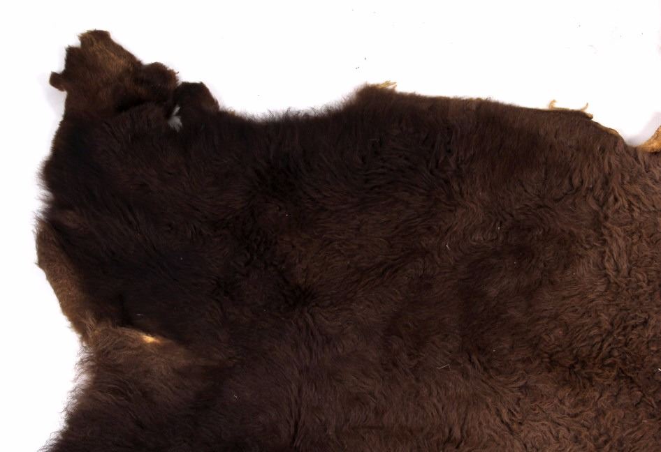 Montana Tanned Buffalo Hide