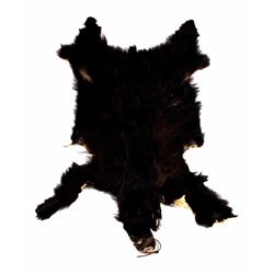 Montana Black Bear Hide With Claws