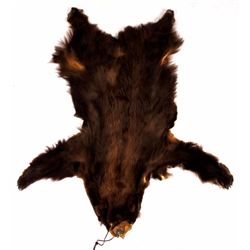 Trophy Montana Cinnamon Tone Black Bear Hide