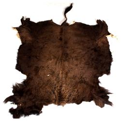 Montana Tanned Buffalo Hide