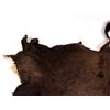 Image 2 : Montana Tanned Buffalo Hide