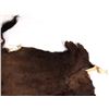 Image 3 : Montana Tanned Buffalo Hide