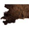Image 5 : Montana Tanned Buffalo Hide