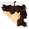 Image 6 : Montana Tanned Buffalo Hide