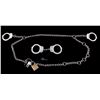 Image 1 : Smith & Wesson Handcuffs Collection