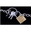Image 4 : Smith & Wesson Handcuffs Collection