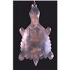 Image 7 : Hudson Bay Copper Turtle Effigy on Bead Necklace