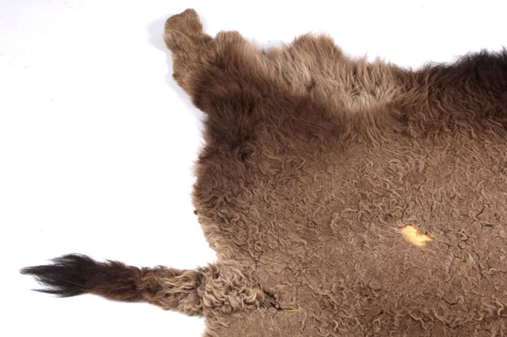 Montana Tanned Buffalo Hide