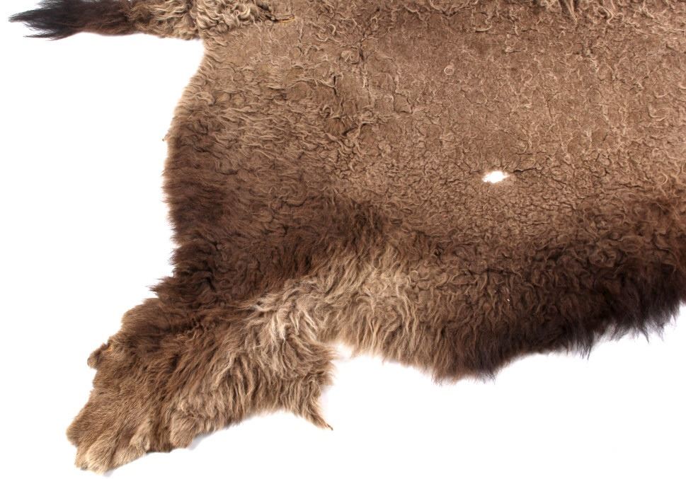 Montana Tanned Buffalo Hide