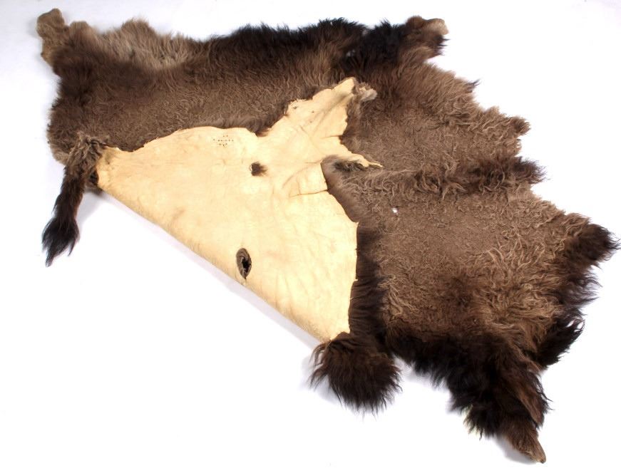 Montana Tanned Buffalo Hide