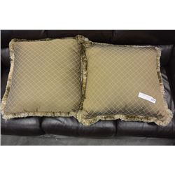 PAIR OF LARGE DESIGNER PILLOWS