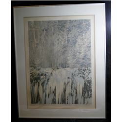 Signed Artists Proof -- Crystal Falls 1