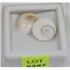 Image 1 : 121) NATURAL SHIVA'S EYE 2PCS 22CT NO TREATMENT