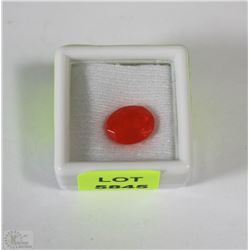 102) NATURAL ORANGE OPAL 1.9CT HIGH QUALITY