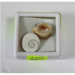 90) NATURAL SHIVA'S EYE 2PCS 19CT NO TREATMENT