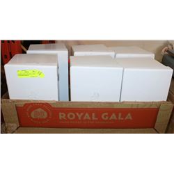 6 PAPER TOWEL HOLDERS (TAKES STANDARD TOWELS)