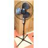 Image 1 : 3 SPEED OSCILLATING FLOOR FAN - BLACK