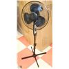 Image 1 : 12" OSCILLATING FLOOR FAN - BLACK