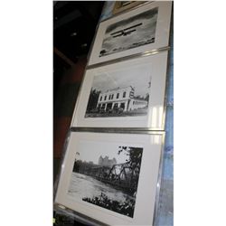 3 FRAMED PICTURES