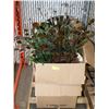 Image 1 : SHOWHOME PALLET OF DECORATIONS