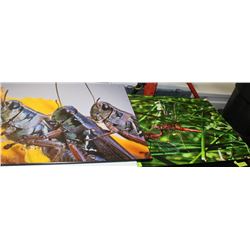 PAIR OF GRASSHOPPER AND DRAGONFLY PLAQUES