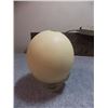 Image 3 : REAL OSTRITCH  EGG SHELL WITH GLASS STAND - FROM AUSTRALLIA 1974