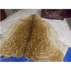 AUTHENTIC DEER PELT 48"x36"