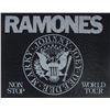 Image 1 : Ramones Flag