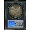 Image 4 : 1880-CC $1 MS66 PCGS.
