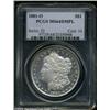 Image 3 : 1881-O $1 MS64 Deep Mirror Prooflike PCGS.