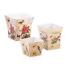 Image 1 : Botanical Garden Planter Trio