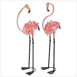 Flamboyant Flamingo Stakes