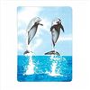 Image 1 : Dolphin Fleece Blanket