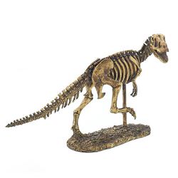 T-Rex Dinosaur Skeleton Statue