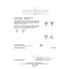 Image 3 : 0.88 ctw Diamond Earrings - 14KT White Gold