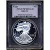 Image 1 : 2002-W $1 Silver Eagle PR70 Deep Cameo PCGS.